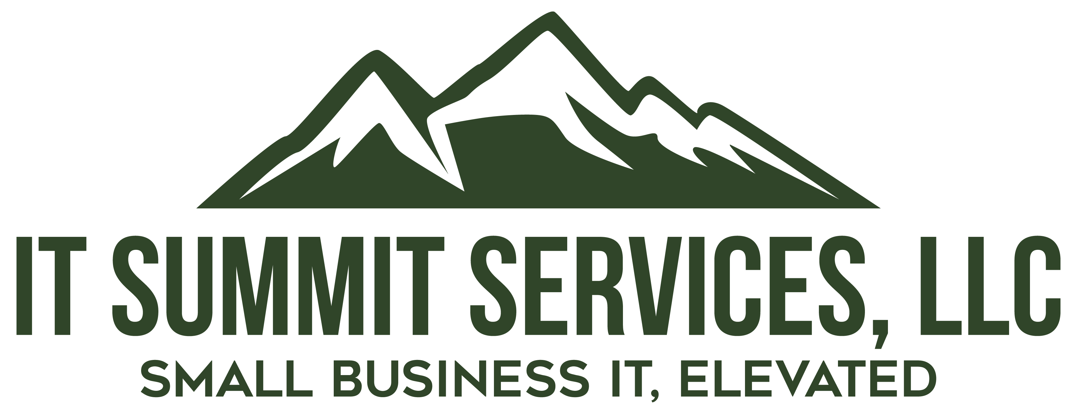 IT Summit Services logo